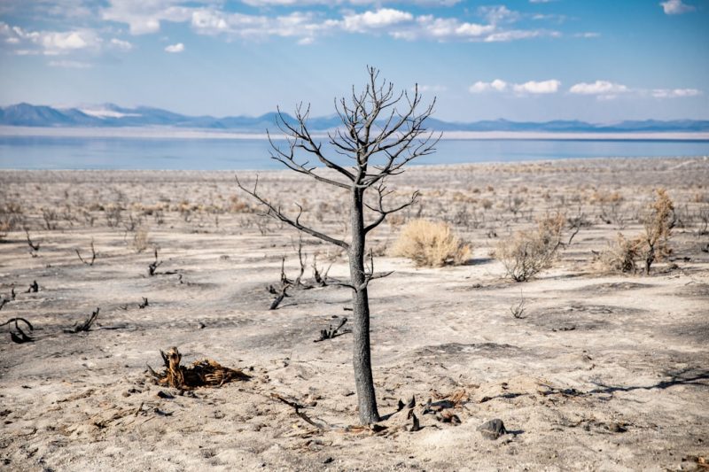 The Existential Threat of Climate Change: An In-Depth Examination